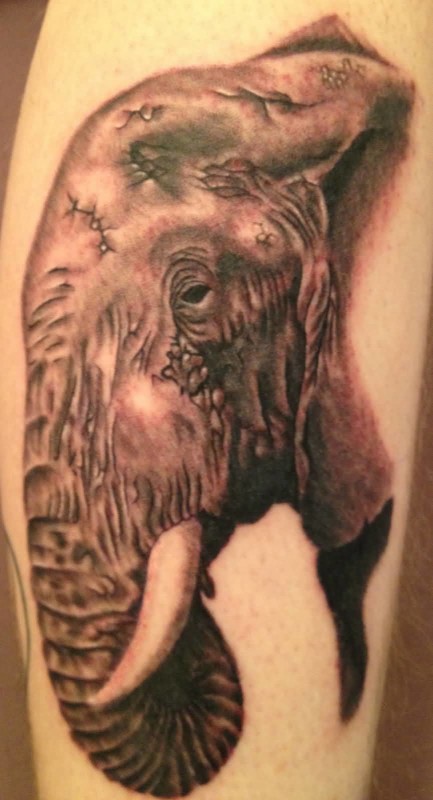Black Ink Elephant Head Tattoo Design For Sleeve