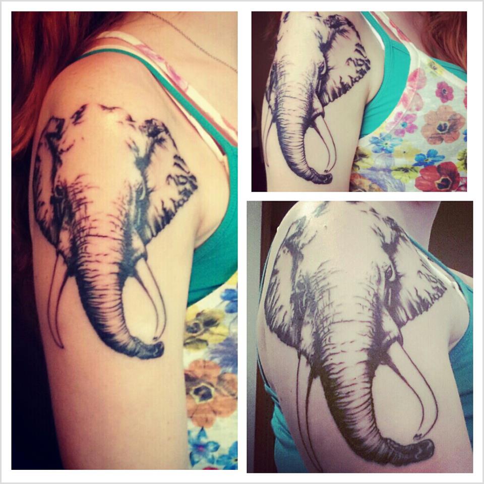 Black Ink Elephant Head Tattoo On Girl Right Shoulder