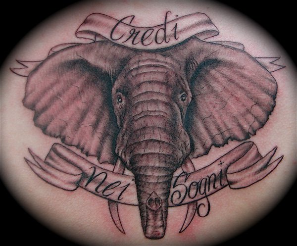 Black Ink Elephant Head With Banner Tattoo Design