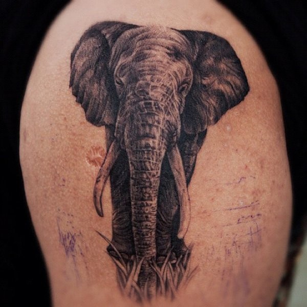 Black Ink Elephant Tattoo Design For Shoulder