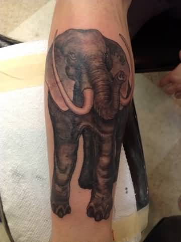 Black Ink Elephant Tattoo Design For Sleeve