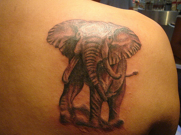 Black Ink Elephant Tattoo On Right Back Shoulder