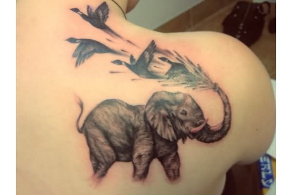 Black Ink Elephant With Flying Birds Tattoo On Right Back Shoulder