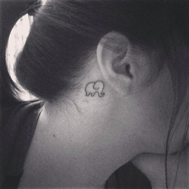Black Outline Baby Elephant Tattoo On Girl Right Behind The Ear