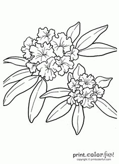 Black Outline Rhododendron Flowers Tattoo Stencil