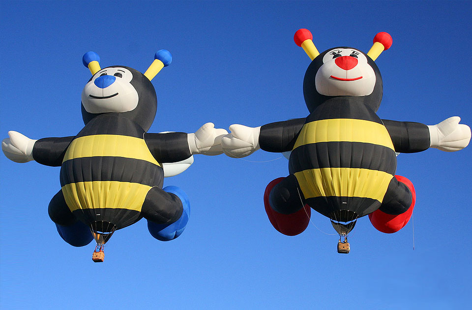 Bumblebees Air Balloons At Albuquerque Balloon Festival