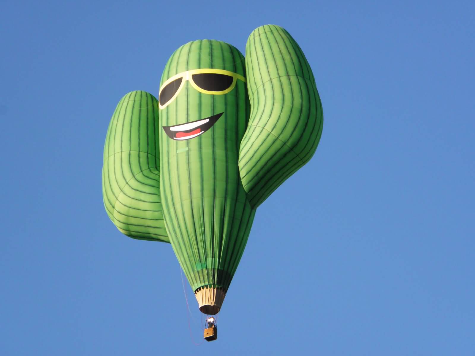 Cactus Hot Air Balloon At Albuquerque Balloon Fiesta