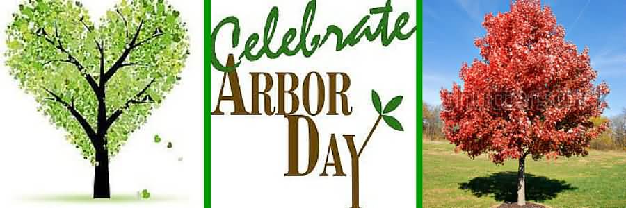 Celebrate Arbor Day Facebook Cover Picture