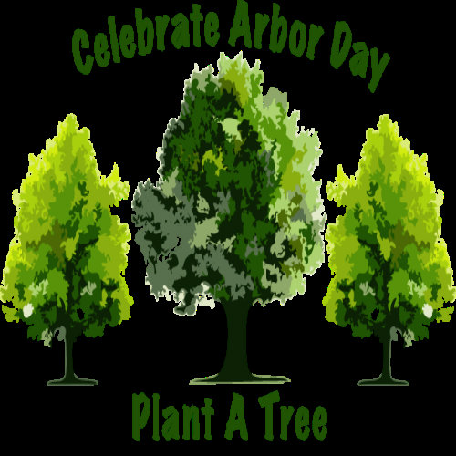 Celebrate Arbor Day Plant A Tree Picture