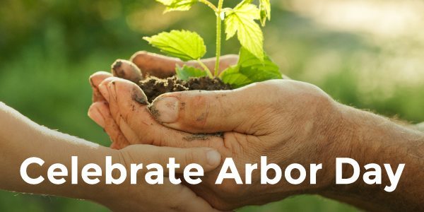 Celebrate Arbor Day Plant A Tree