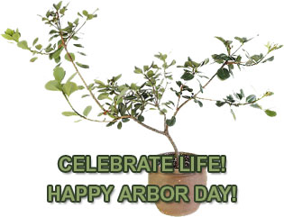 Celebrate Life Happy Arbor Day