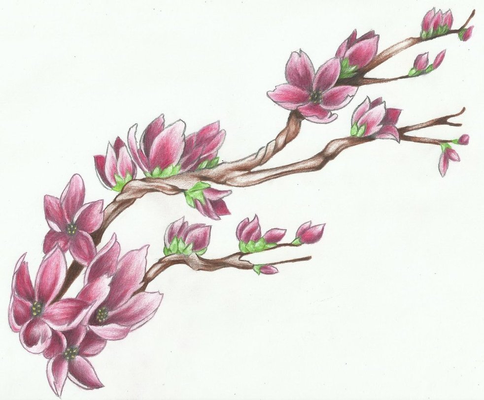 Cherry Blossom Tattoo Design For Girls
