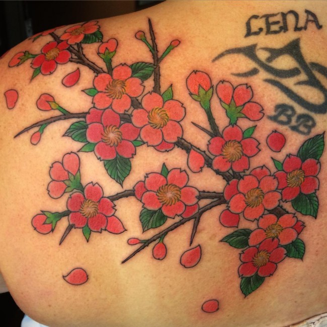 Cherry Blossom Tattoo On Back Shoulder for Girls