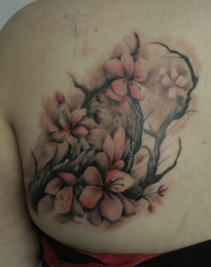 Cherry Blossom Tattoo On Girl Left Back Shoulder