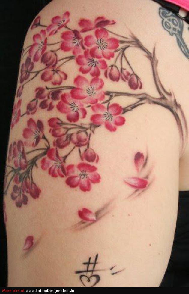 Cherry Blossom Tattoo On Shoulder for Girls