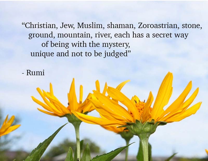Christian, Jew, Muslim, shaman, Zoroastrian, stone, ground, mountain, river, each has a secret way of being with the mystery, unique and not to be judged. Rumi