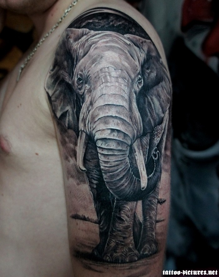 Classic Black And Grey Elephant Tattoo On Man Left Half Sleeve