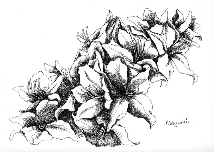 Classic Black Ink Rhododendron Flowers Tattoo Design