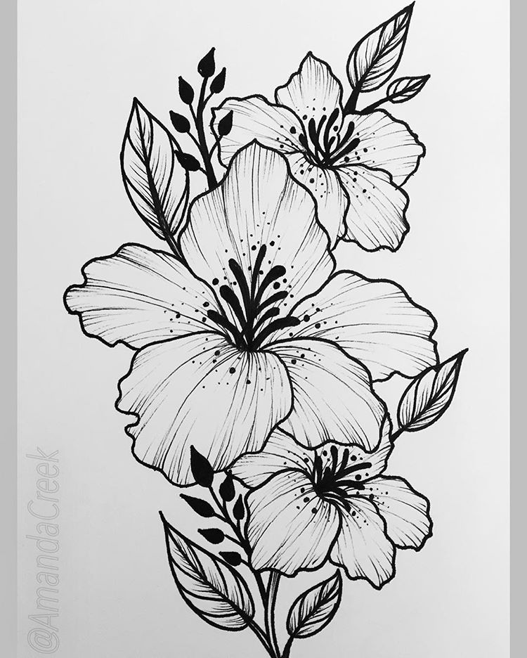 Classic Black Outline Rhododendron Flowers Tattoo Stencil