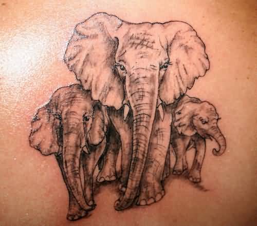 Classic Elephant Family Tattoo Design