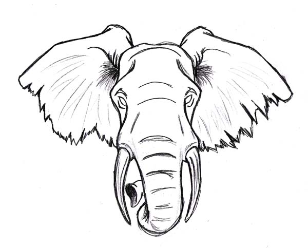 Classic Elephant Head Tattoo Design By Navina