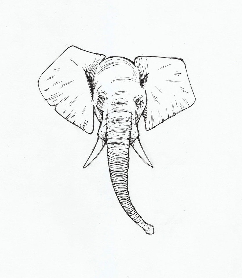Classic Elephant Head Tattoo Design