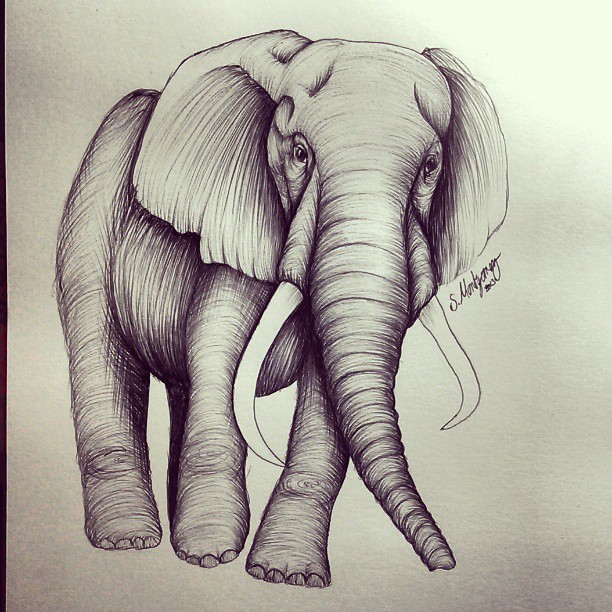 Classic Elephant Tattoo Design By Smonters