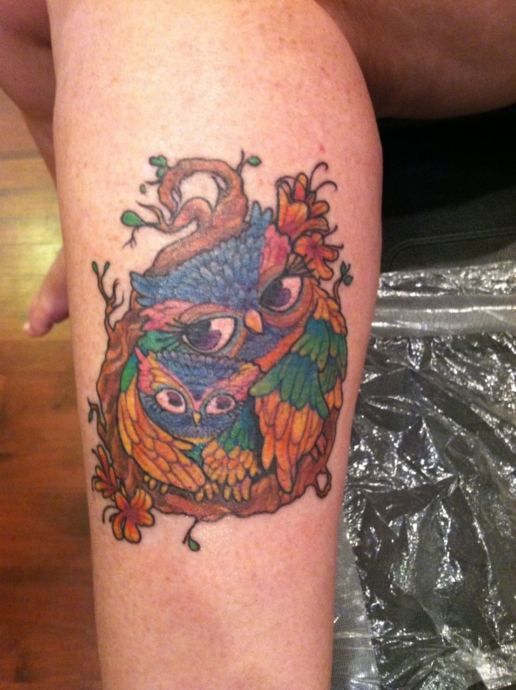 Colorful Baby Owl Tattoo On Leg