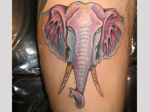 Colorful Elephant Head Tattoo Design For Leg