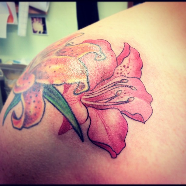 Colorful Rhododendron Flowers Tattoo On Left Back Shoulder