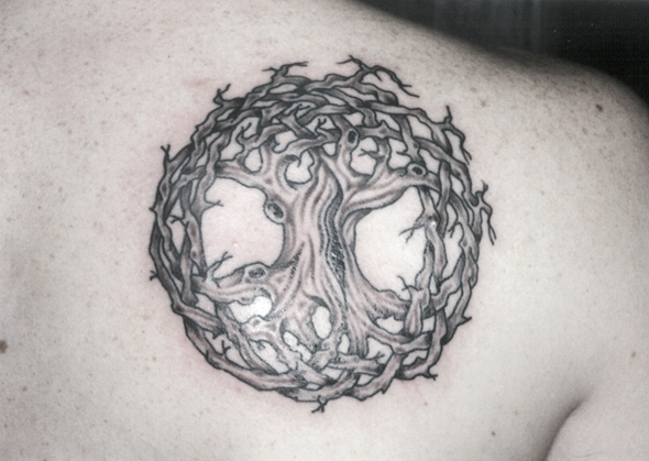Cool Black And Grey Zen Tree Tattoo On Right Back Shoulder