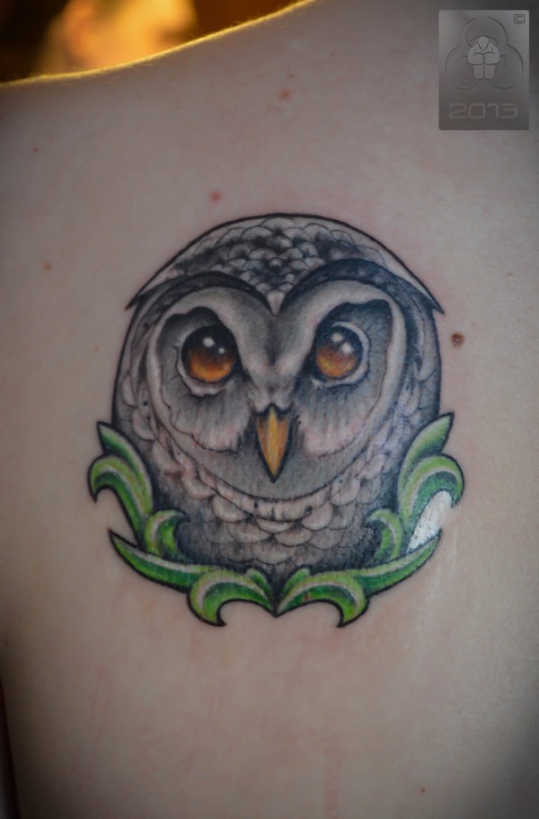 Cute Baby Owl Tattoo On Left Back Shoulder