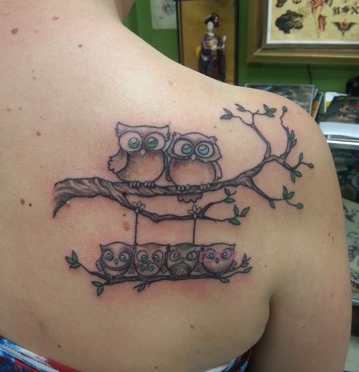 Cute Owl Family Tattoo On Back Shoulder