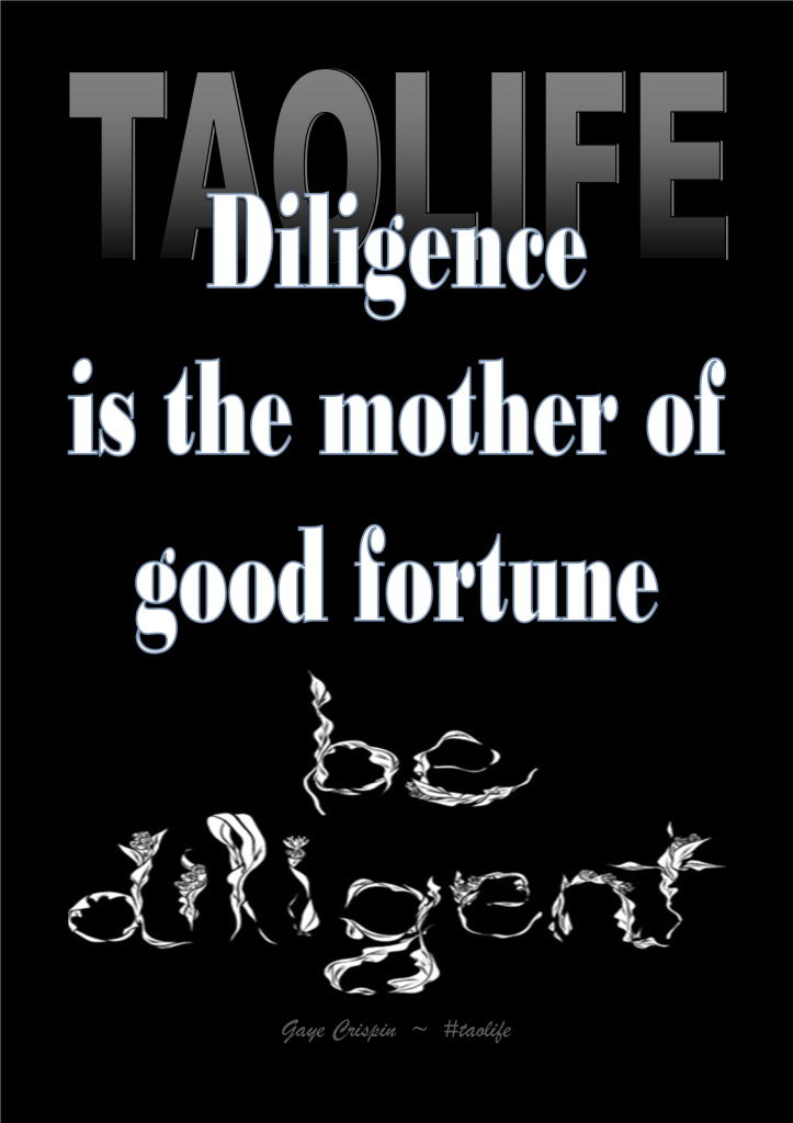 Diligence is the mother of good fortune. Gaye Crispin