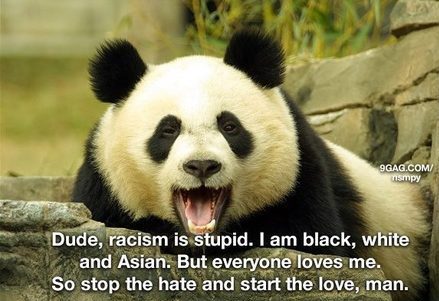 Dude, racism is stupid. I am black, white and asian. But everyone loves me. So stop the hate and start the love, man.