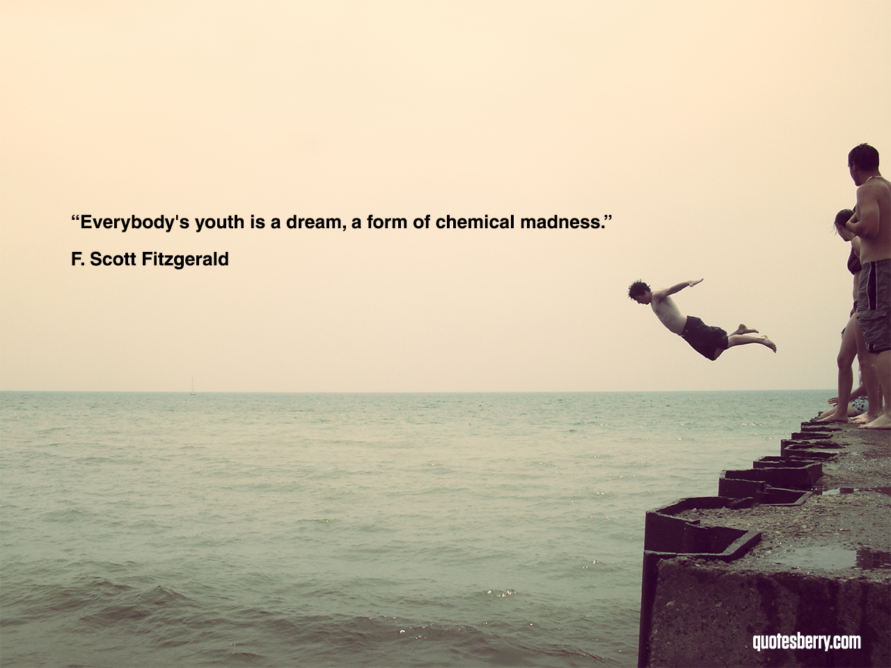 Everybody's youth is a dream, a form of chemical madness. F. Scott Fitzgerald