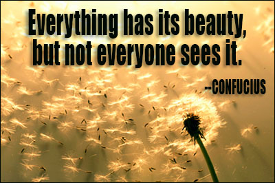 Everything has its beauty, but not everyone sees it. Confucius