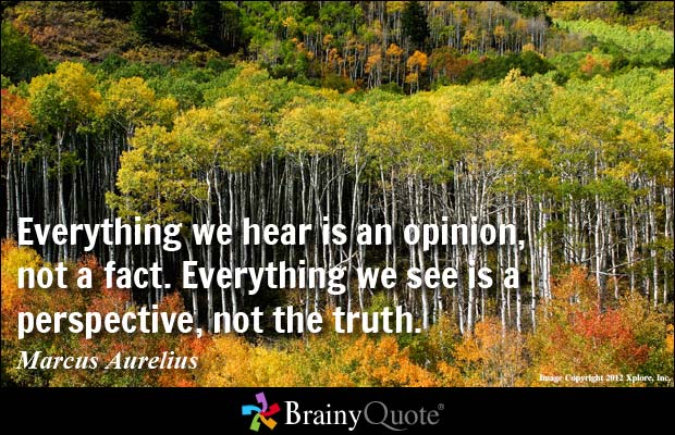 Everything we hear is an opinion, not a fact. Everything we see is a perspective, not the truth. Marcus Aurelius