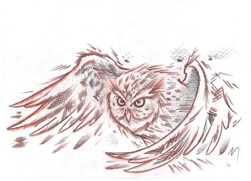 Flying Owl Tattoo Design by Asatorarise