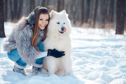 Girl With Samoyed Dog In Snow