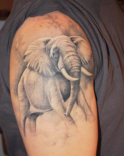 Grey Ink Elephant Tattoo Design For Shoulder By Asussman