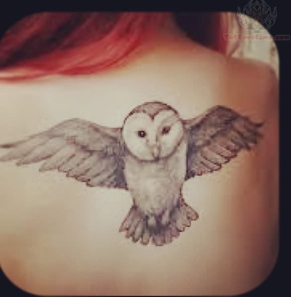 Grey Ink Flying Owl Tattoo On Right Back Shoulder