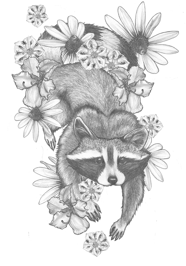 Grey Ink Raccoon With Rhododendron Flowers Tattoo Design