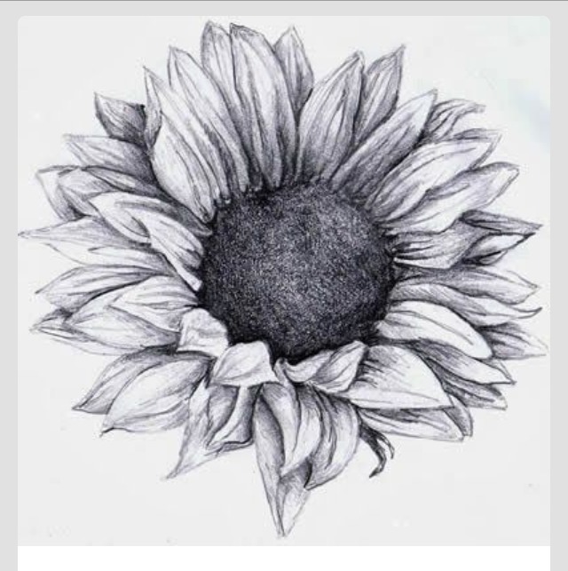 Grey Ink Realistic Sunflower Tattoo Design
