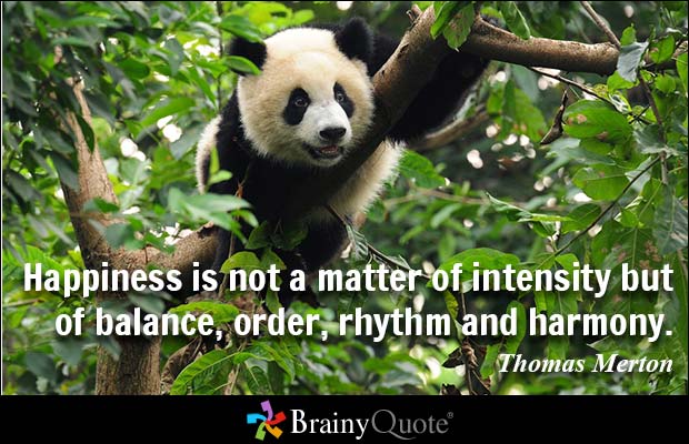 Happiness is not a matter of intensity but of balance, order, rhythm and harmony. Thomas Merton