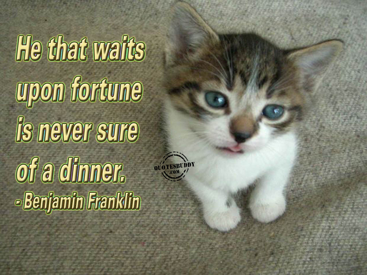 He that waits upon fortune is never sure of a dinner. Benjamin Franklin