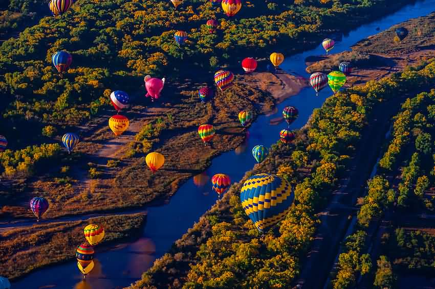 Hot Air Balloons Flying Low Over The Rio Grande River Just After Sunrise Albuquerque Balloon Festival