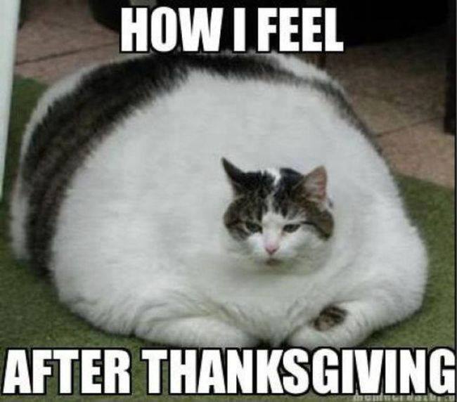 How I Feel After Thanksgiving Funny Meme Picture