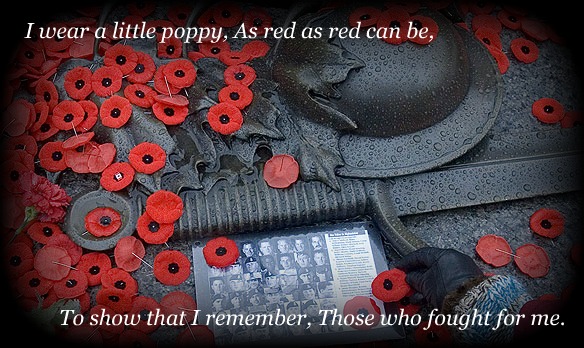 I Wear A Little Poppy, As Red As Red Can Be To Show That I Remember, Those Who Fought For Me. Remembrance Day