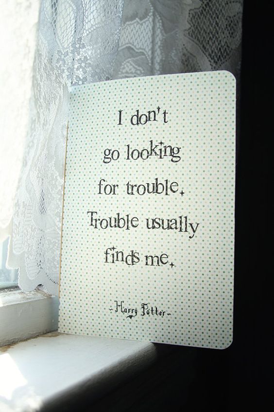 I don't go looking for trouble. Trouble usually finds me. Harry Potter